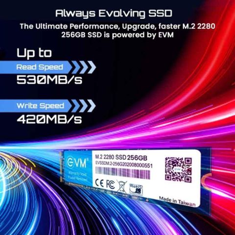 EVM SSD 256 GB Laptop, Desktop, All in One PC's Black M.2 Internal ...
