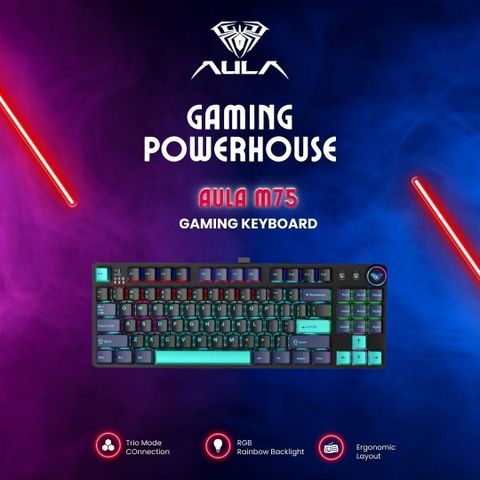 Aula M75 Bluetooth, Wired USB Tenkeyless Gaming Keyboard Compatible ...