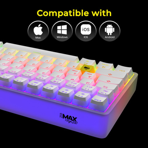 ZEBRONICS Zeb-Max Ninja 200 Wired USB Standard Gaming Keyboard