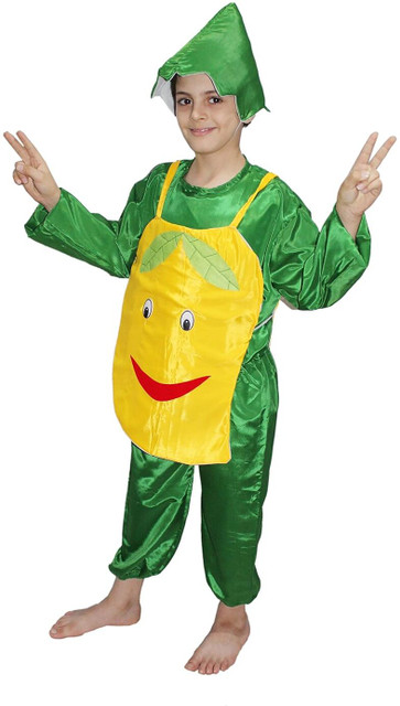 KAKU FANCY DRESSES Fruit Costume Mango Dress for Boys Girls