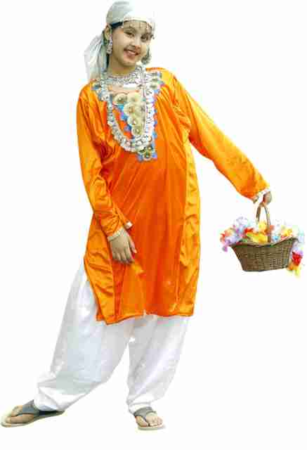 knee length dresses for ladies Kashmiri Fancy Dress For Girls