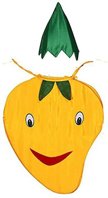 MODERNAZ Mango dress with jumpsuit for Kids Costume Wear