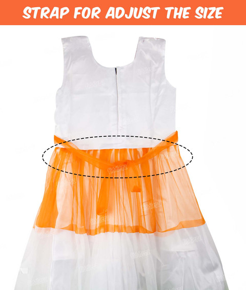FIDDLERZ to Year Role Play Dress Net Tiranga Color full