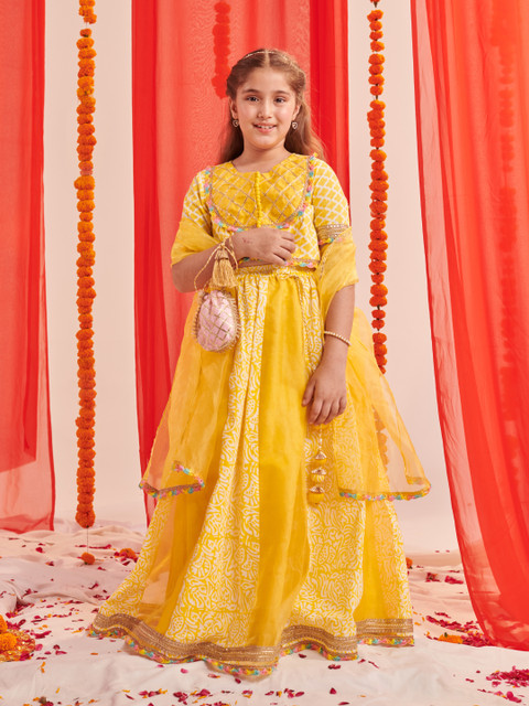 Pspeaches Girls Lehenga Choli Ethnic Wear Printed Lehenga, Choli