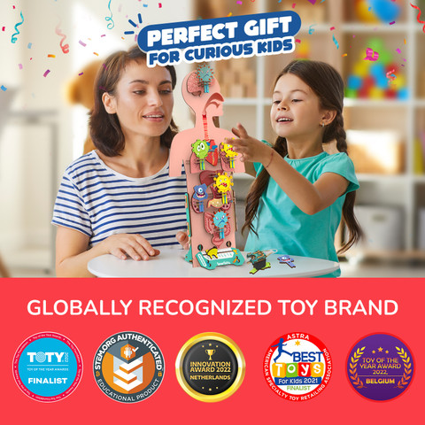 Smartivity Human Body STEM DIY Fun Toys for Kids to 12 Years