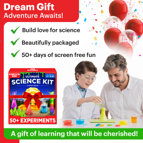 Albert Einstein Science Experiment Box Einstein Box Mini Science