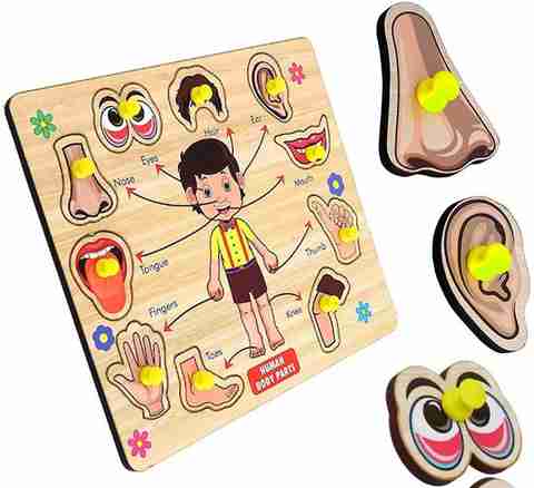 SHALAFI Human Body Parts Wooden Puzzle Wooden Toys with Knobs, Learning ...