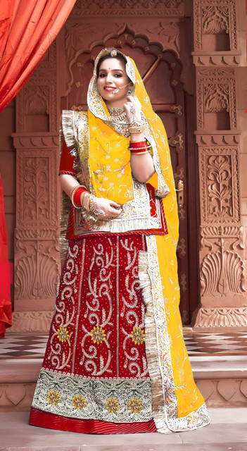 raj embroidered dress Floral Rays embroidered Midi Dress main image 1