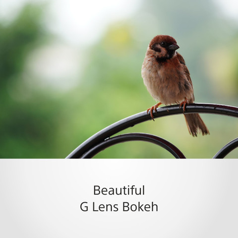 SONY SEL70350G Telephoto Zoom Lens SONY