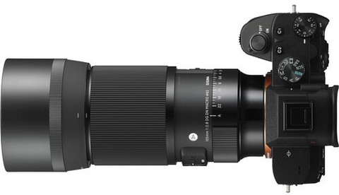 SIGMA 105mm f/2.8 DG DN Macro Art Sony E Telephoto Zoom Lens