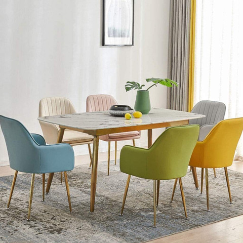 Roxigo Velvet Dining Chairs, Cushion Seat Chair for Living Room Bedroom  Restaurant Fabric Dining Chair