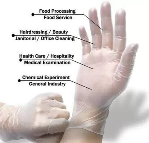 3P Clear Vinyl Glove Vinyl Examination Gloves