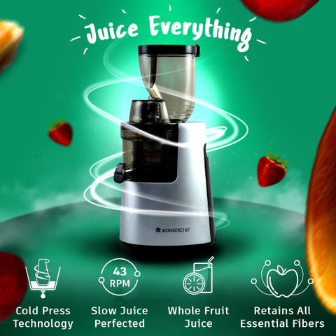 Fruit Juicer Cheapest Cold Press Juicer BioloMix Cold Press Juice