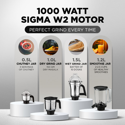 Preethi MG 288 1000 W Juicer Mixer Grinder Price in India Buy