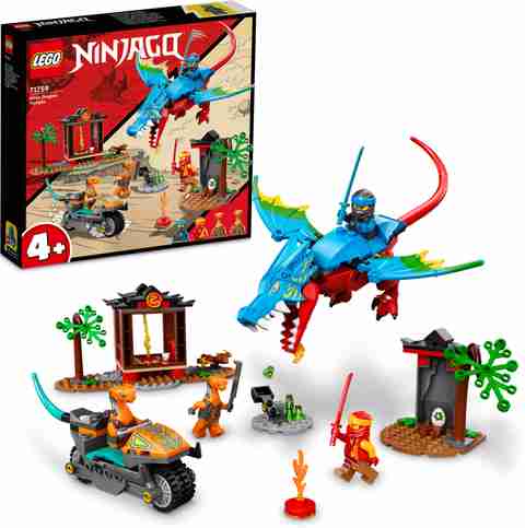 LEGO Ninjago Ninja Dragon Temple (161 Blocks) Model Building Kit
