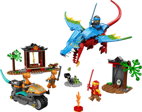 LEGO Ninjago Ninja Dragon Temple (161 Blocks) Model Building Kit