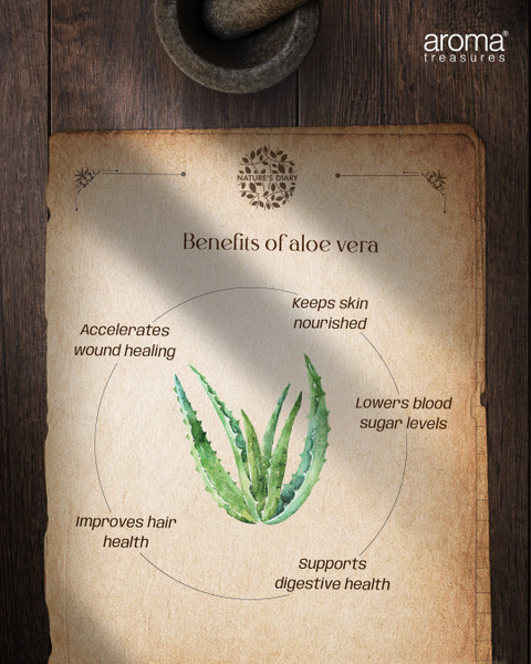 AROMA TREASURES non sticky aloe vera gel for face, body & hair - Price in  India, Buy AROMA TREASURES non sticky aloe vera gel for face, body & hair  Online In India,