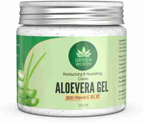 how tall do aloe vera plants grow Aloe Barbadensis