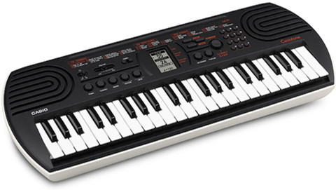 CASIO SA-81 Casiotone Digital Portable Keyboard Price in India
