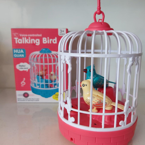jabastin Loty Store Colony Talking Bird with Two Modes for Kids