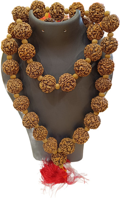 Shiv Aastha Mukhi Natural Nepali Rudraksha White Chandan