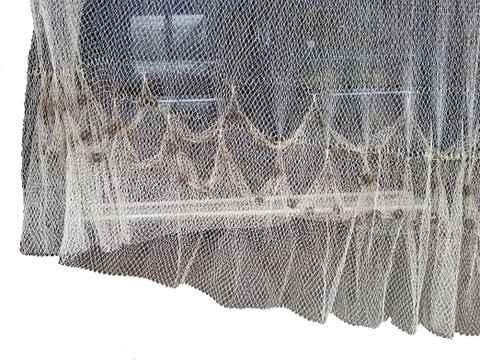 Das Departmental Store 4.5 Kg | 12 Feet | 2 mm Thread | Hand Made Cast Fishing Net - Buy Das Departmental Store 4.5 Kg | 12 Feet | 2 mm Thread | Das Departmental Store 4.5 Kg | 12 Feet | 2 mm Thread | Hand Made Cast Fishing Net - Buy Das Departmental Store 4.5 Kg | 12 Feet | 2 mm Thread |