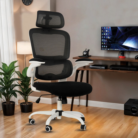 Drogo Ergonomic Office for Work from Home Computer with Lumbar