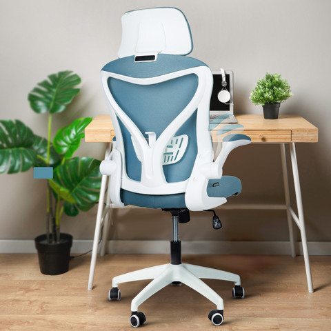 Drogo Work from Home Computer Chair with Head Lumbar Support - Main Image