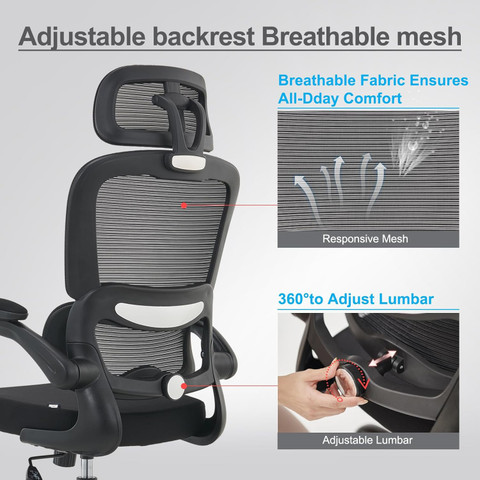 Drogo Ergonomic Office Chair for Work from Home Computer Chair with Lumbar  Support Mesh Office Adjustable Arm Chair