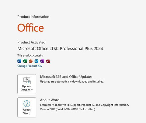 MICROSOFT Windows 11 Pro & Office Professional Plus 2024 (1 User