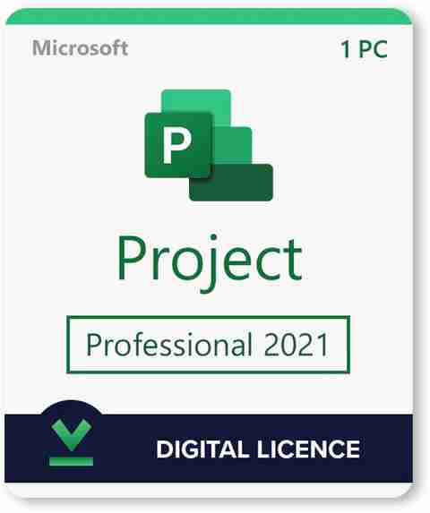 MICROSOFT Project Professional 2021 for Windows (1 User/PC, Lifetime ...