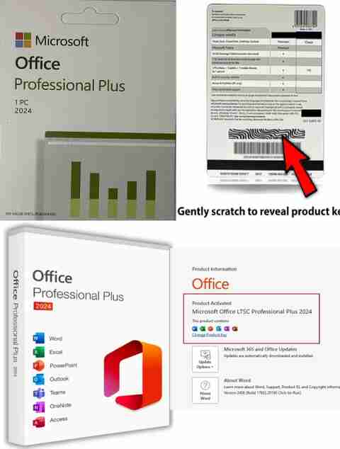 MICROSOFT Office Professional Plus LTSC 2024 for Lifetime (1 User/PC ...