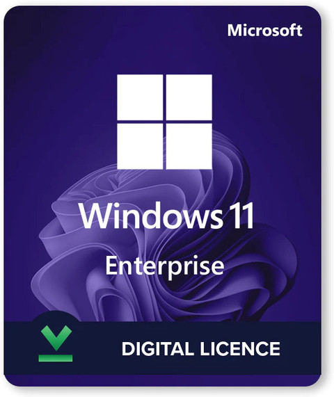 MICROSOFT Windows 11 Enterprise 32/64 Bit (1 User, Lifetime