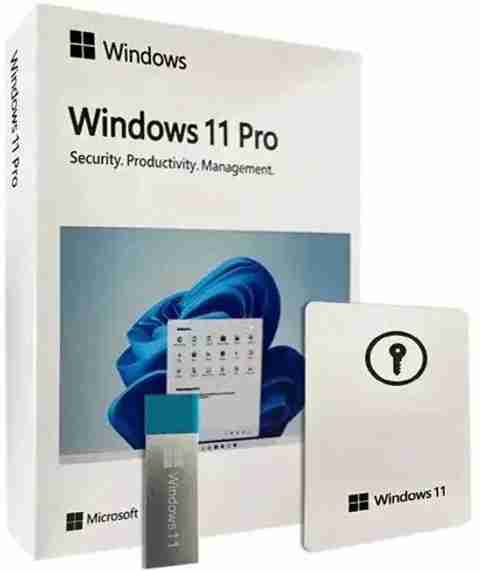 windows-11-professional-box-
