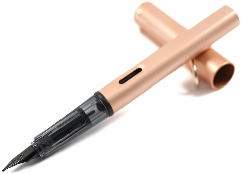 Bwogue 1Pcs of Fountain Pen with Absorber(Ink refill converter) 2Pcs of  Ink Cartridge Ink Cartridge