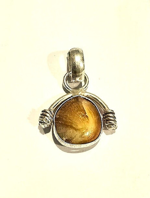 RAM RATAN KENDRA Mach Mani(Sea Stone) in Silver Locket(Lab