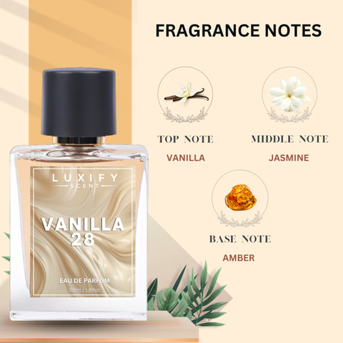 Buy Luxify Scent Vanilla and Into the night Perfumes Long