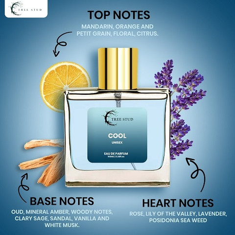 TREESTUD Cool Mint Kisses Perfume For Men Women 2x100ml Long Lasting  Fragrances Eau de Parfum 200 ml