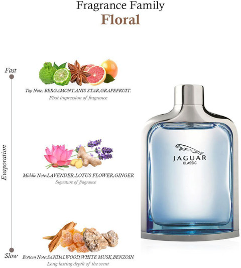 Buy JAGUAR Classic Blue Eau de Toilette 100 ml Online In India