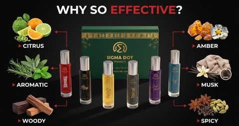 SIGMA DOT Long Lasting Fragrance Eau de Parfum 60ml - Image 6