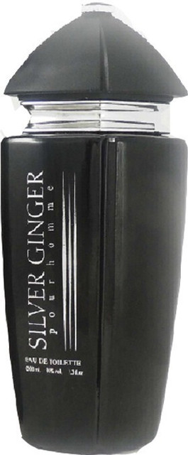 Buy BN PARFUMS SILVER GINGER PERFUME Eau de Toilette 100 ml