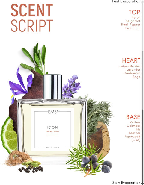 Buy Em5 Icon Perfume for Men Strong Fragrance Aromatic Citrus