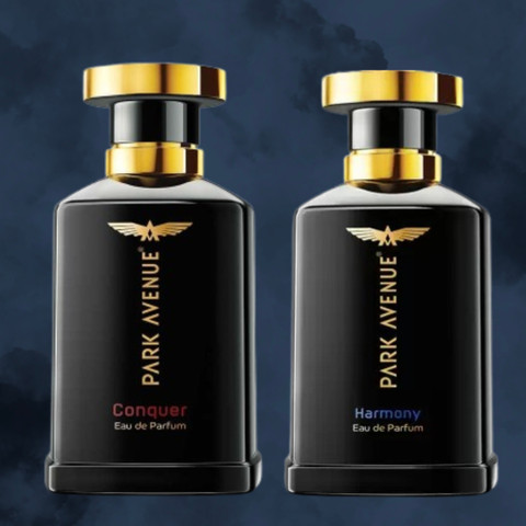 PARK AVENUE Conquer&Harmony, Eau De Perfume Men,P2 Eau de Parfum 100 ml