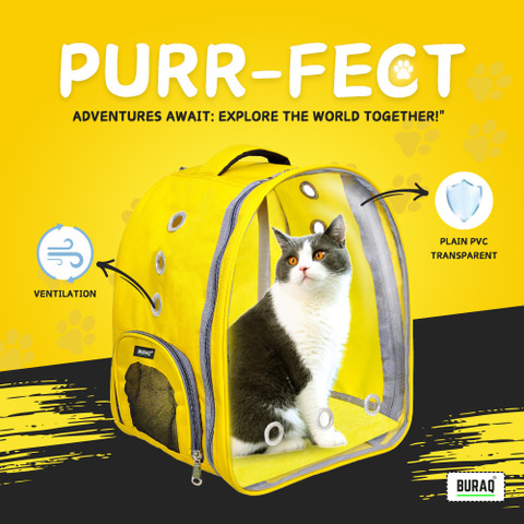 Buraq Transparent Pet Carrier Travel Hiking Outdoor
