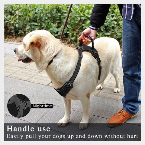 Petsup dog body harness for labrador and small medium dogs belt