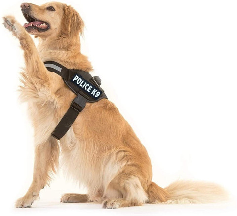 Dog Collar Retriever Harness GLOBE OF PETS Dog Standard Harness