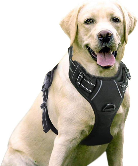 ADIOS Pet Harness with Leash Clips, Adjustable Soft Padded Dog Vest,  Reflective Dog Standard Harness