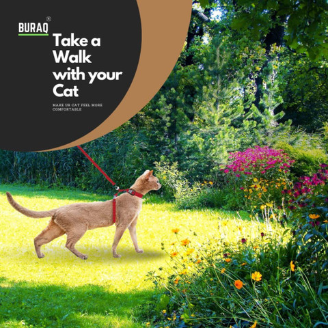 Buraq Cat Harness Full Body With Leash Set For Walking Escape Proof Cat  Buckle Harness