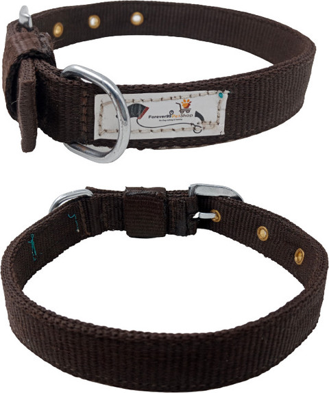 FOREVER99 Dog Collar Belt of All Breeds Waterproof Small Fits Neck Size 12