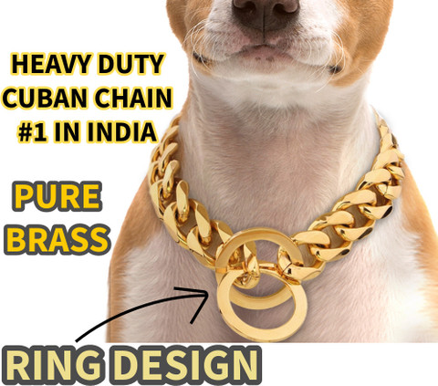Gold Cuban Chain For Dogs Gold Cuban Link Dog Chain Collar Chew